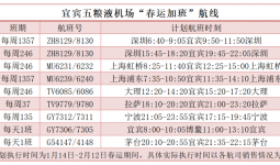 错峰出行，小伙伴们速速赶上春运“加班”的末班车~