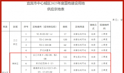 宜宾的方特、岷江菜坝大桥，终于要修了！高新区，投资200个亿，建设这些大项目！