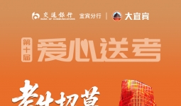 宜宾近100辆小车聚在江边！集体摆出两个字…