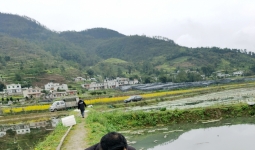 时代新农人丨杜永军：带领乡亲们过上更幸福的生活