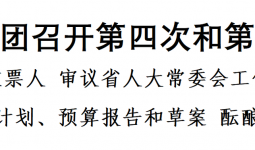 聚焦省两会丨宜宾代表团召开第四次和第五次会议