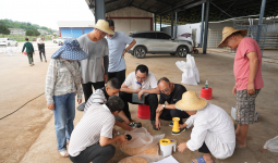 增产！“绿色高效酿酒专用粮重大新品种培育”项目在宜成果显著