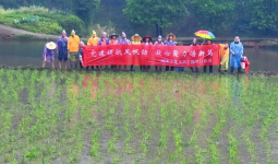 练团子党支部开展“寻根之旅——春日农耕体验”主题党日活动简报