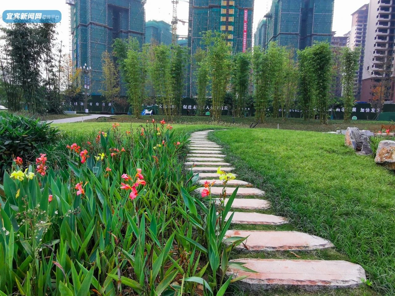 宜宾城区又一新公园开放,约900个足球场大!银杏道,拱桥,亲水栈道