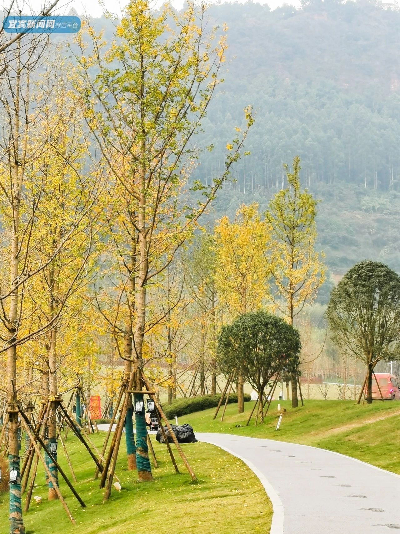 宜宾城区又一新公园开放,约900个足球场大!银杏道,拱桥,亲水栈道