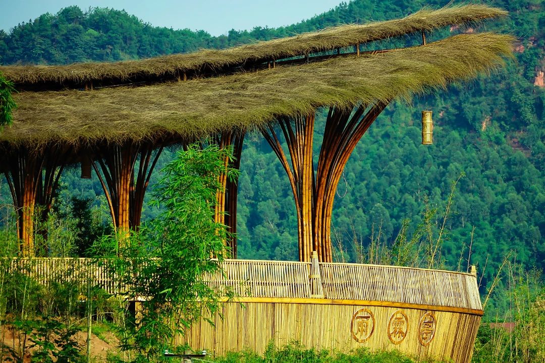 【视频】小编带你打卡宜宾高桥竹村!