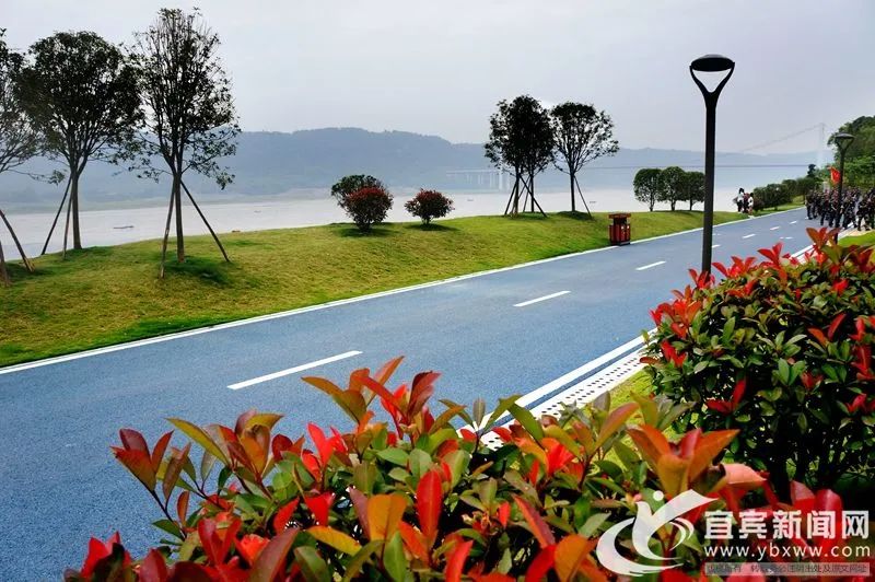 合江白米沿江公路图片