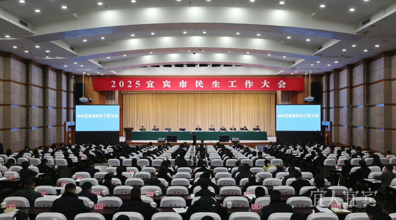 2025宜宾市民生工作大会召开