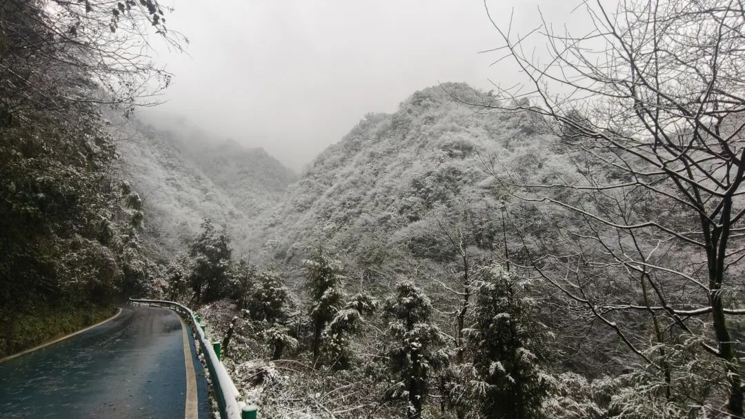 太惊喜了！宜宾下雪啦！