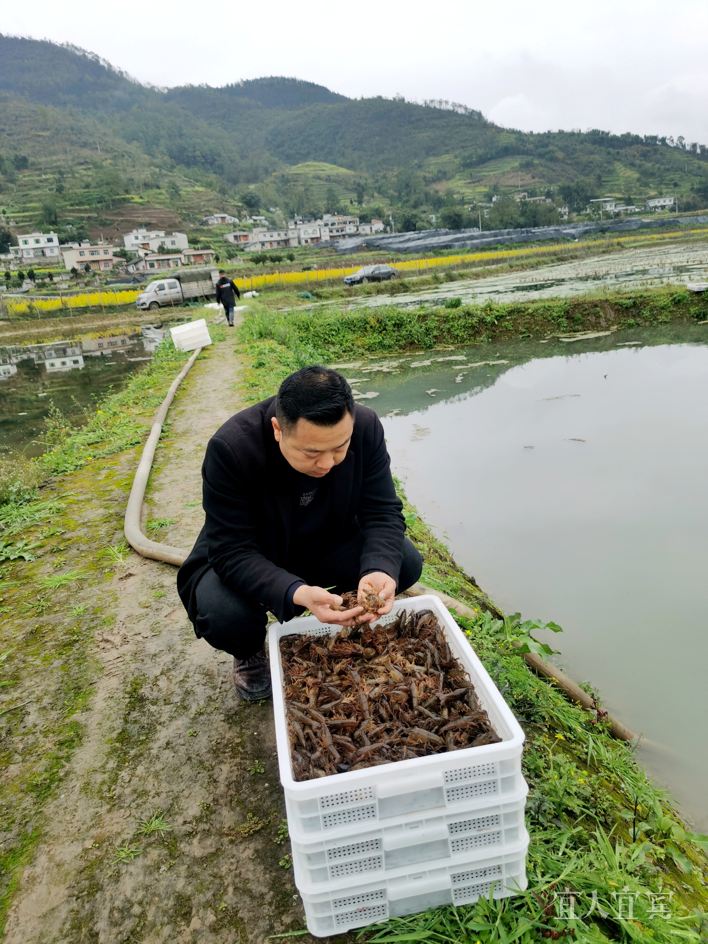 时代新农人丨杜永军：带领乡亲们过上更幸福的生活